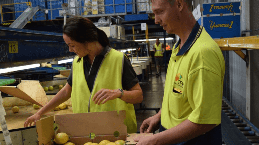533 ofertas de trabajo de MOZO DE ALMACÉN encontradas